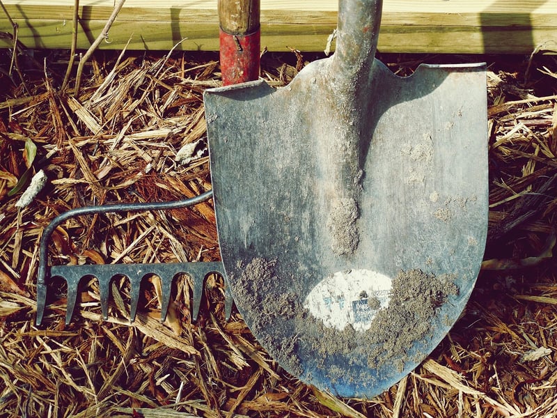 Pruning Image