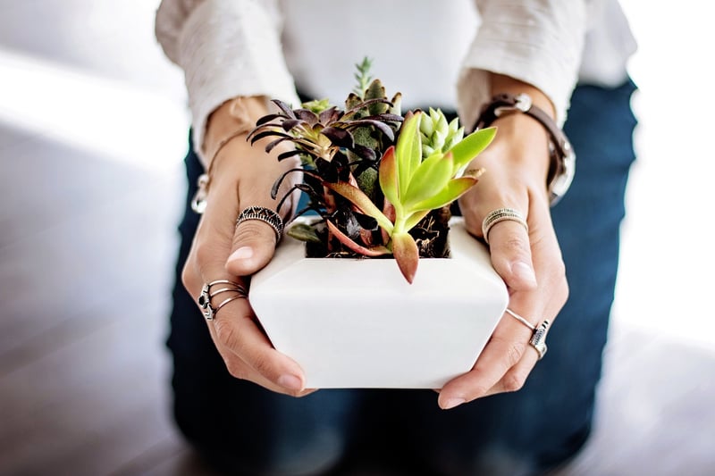 vertical wall planters